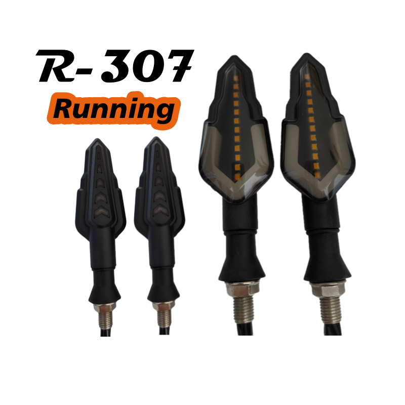 
                                    Representación visual de R-307
                                  